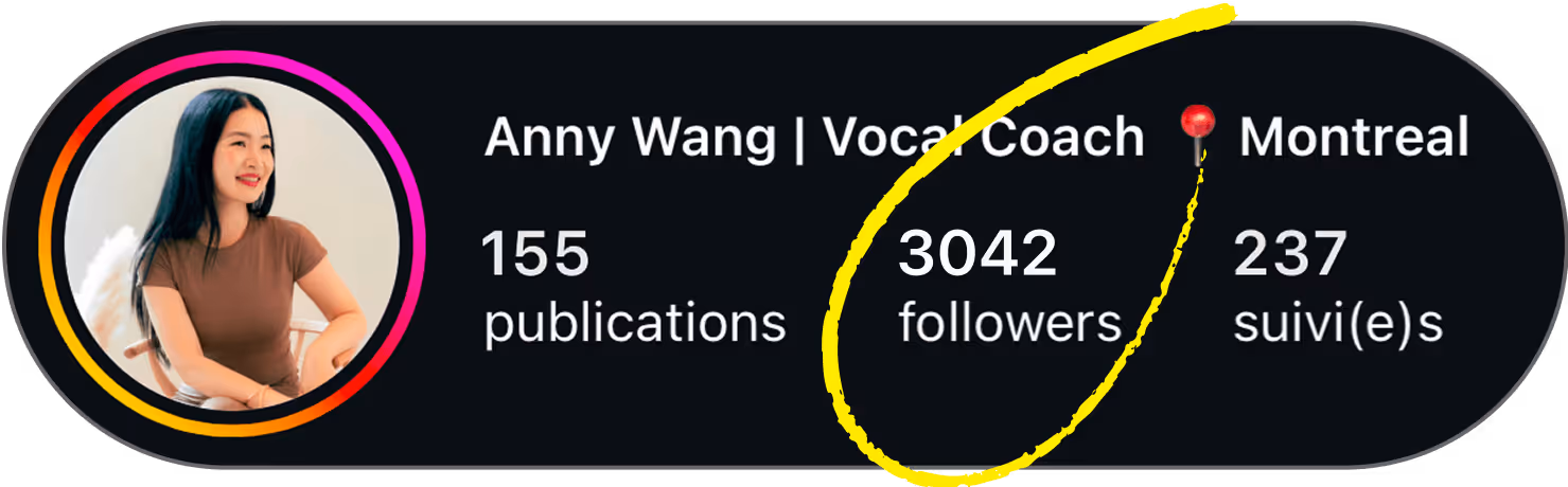 Profil Instagram d'Anny Wang avant : 155 publications, 3 042 abonnés